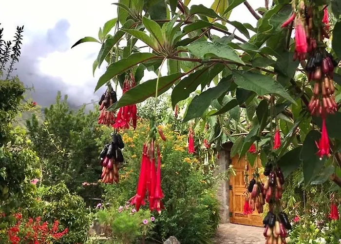 Homestay Casa De Aida