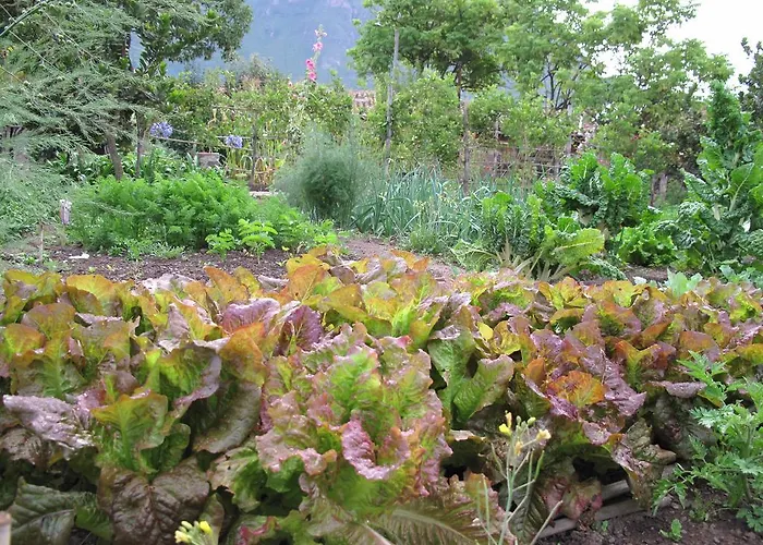 Homestay Casa De Aida Calca